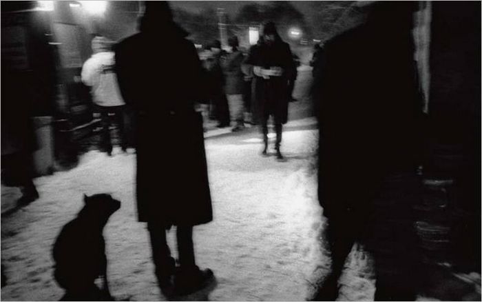 14. Éjszakai busz. Szentpétervár, 2005