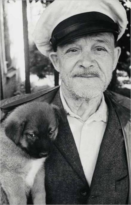 Kölyökkutya eladó. 1972