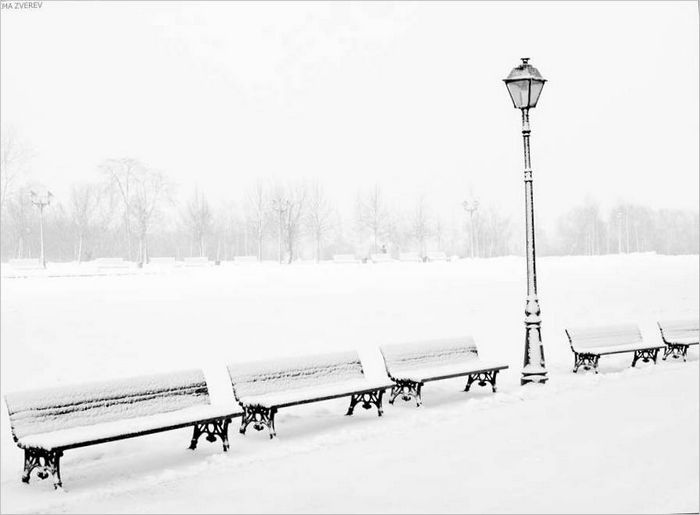Park. Hóesés Fotófelszerelés