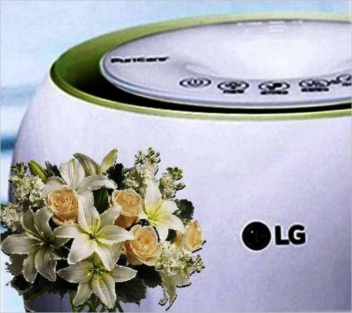 LG MiniON LG MiniON