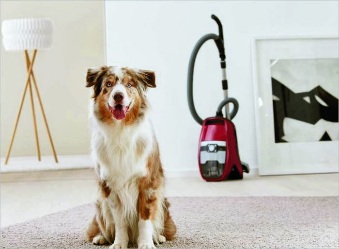 Hoovers