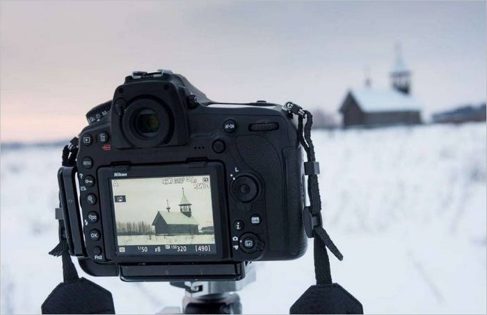 a Nikon D850 fókuszba állítja a fényképezőgépet
