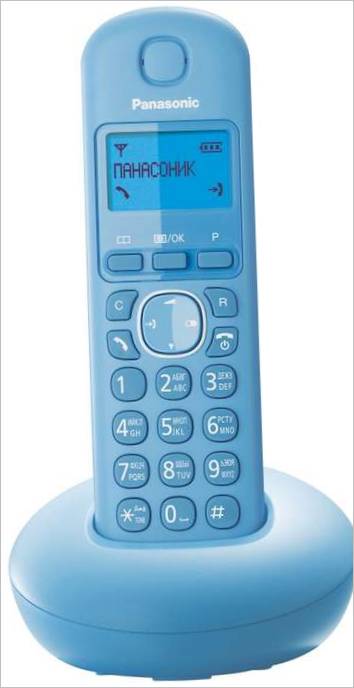 Panasonic